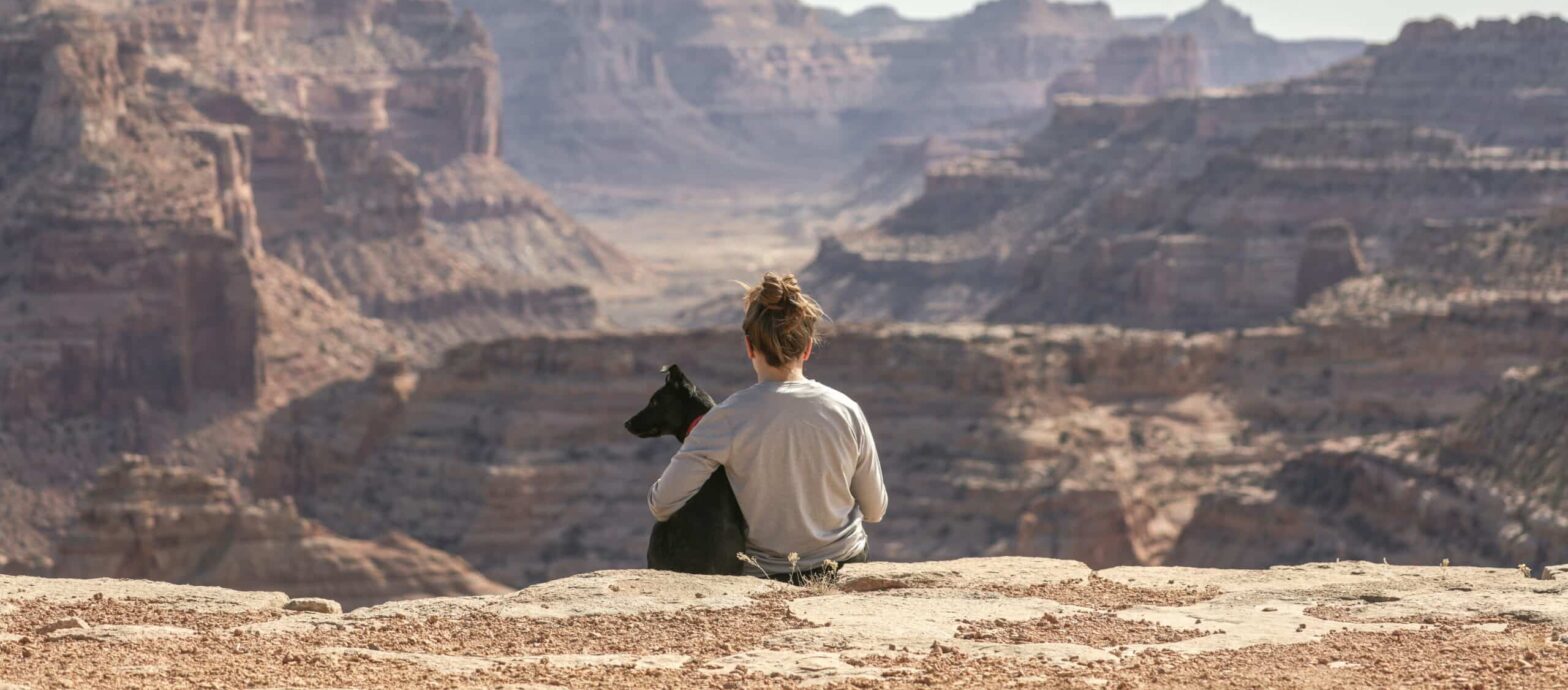 Partir à l’étranger avec ses animaux de compagnie