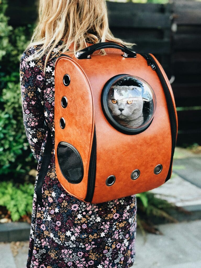 pet travel