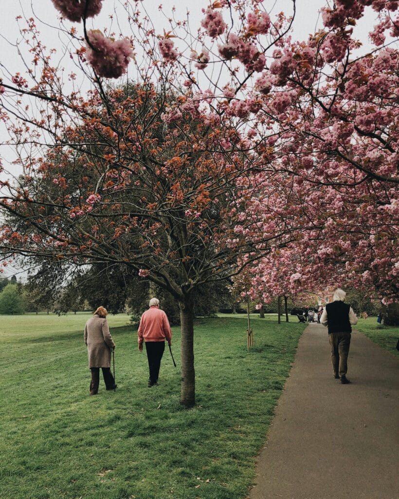 walking exercise