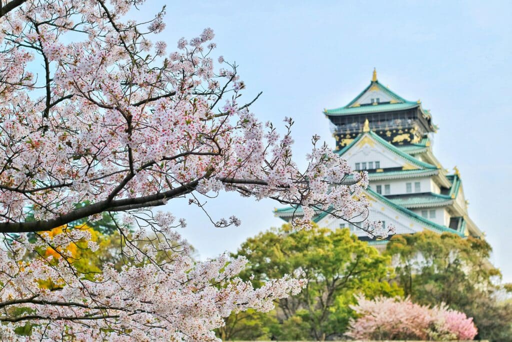 Branches of Japanese cherry trees in the foreground, with a Japanese temple in the background. The sky is clear and the photo conveys a feeling of spring and serenity.