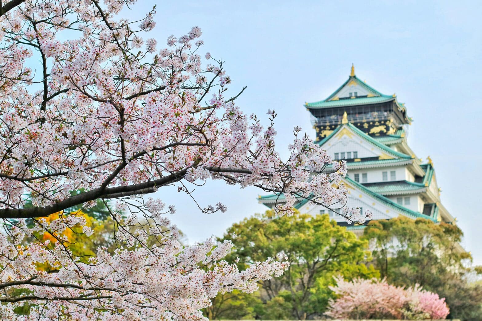 Le coût de la vie au Japon 