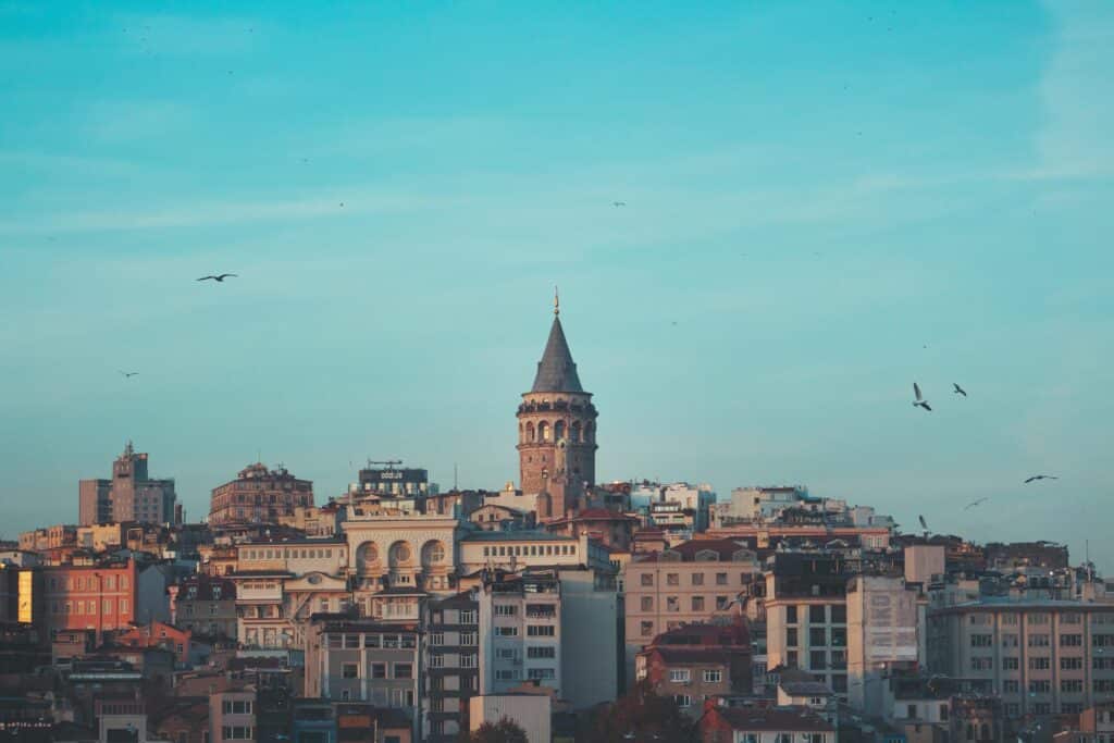 Photo of a view of the roofs of brown concrete houses in Istanbul, Turkey, under a blue sky. Birds flying in the sky.