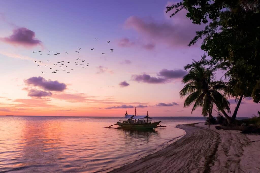 Photo taken above a heavenly beach in the Philippines, which is divided into three parts: coconut palms at the top, the fine sandy beach in the middle, and the turquoise sea at the bottom of the photo.