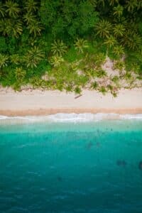 Photo taken above a heavenly beach in the Philippines, which is divided into three parts: coconut palms at the top, the fine sandy beach in the middle, and the turquoise sea at the bottom of the photo.